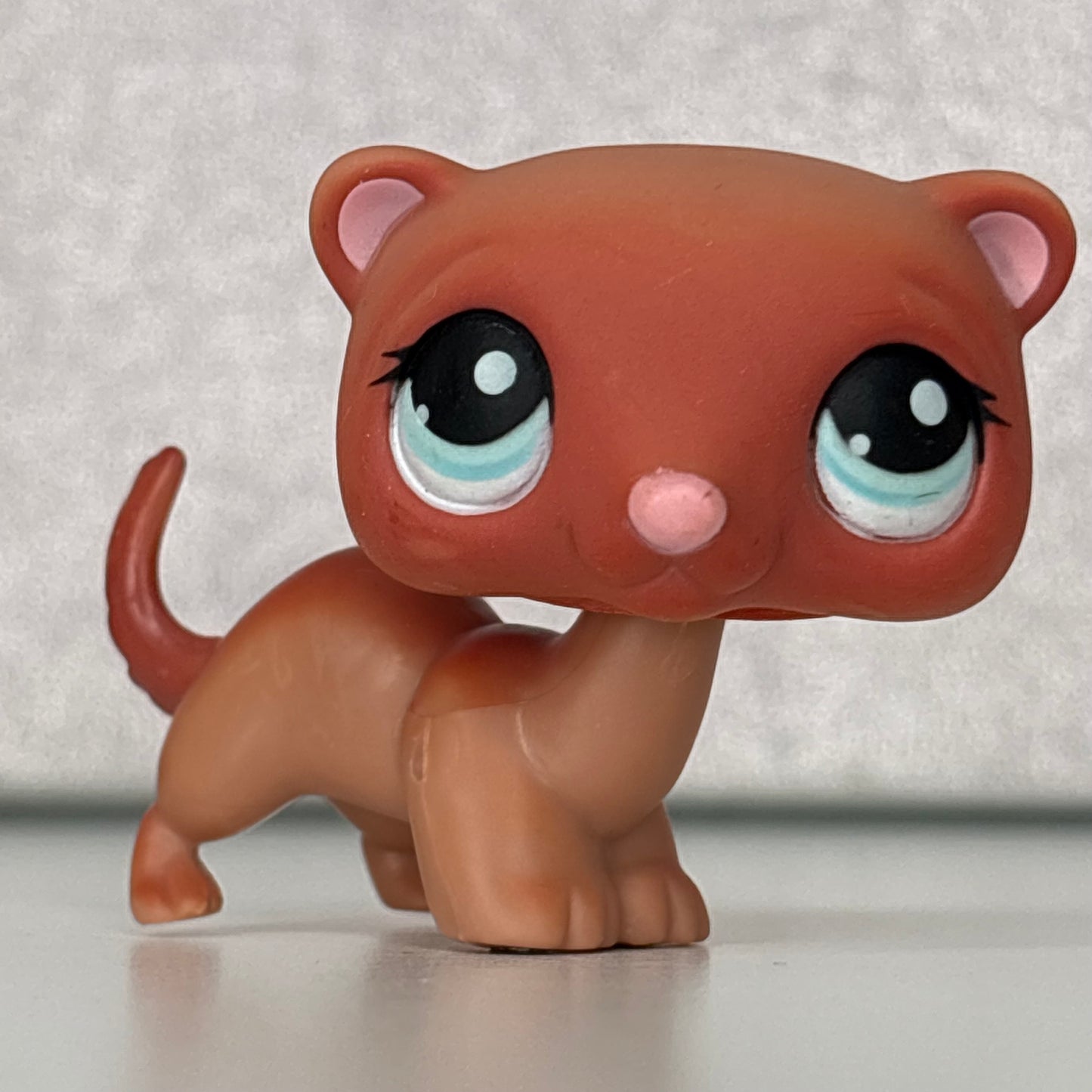 LPS Ferret #334