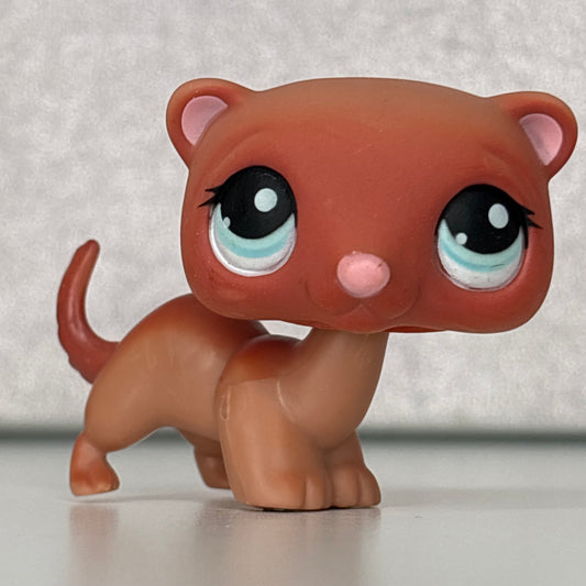 LPS Ferret #334
