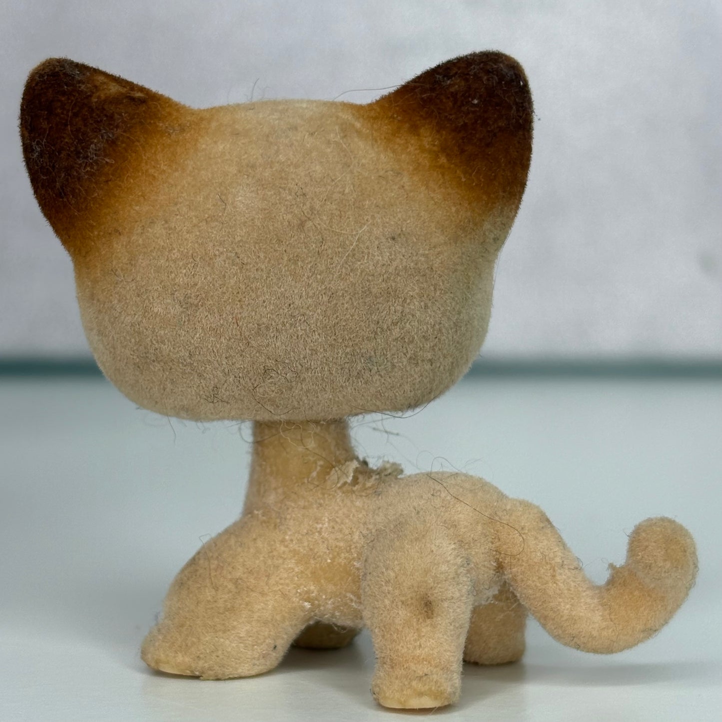 LPS Flocked Shorthair #338