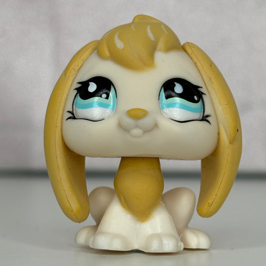 LPS Floppy Ear Bunny #542