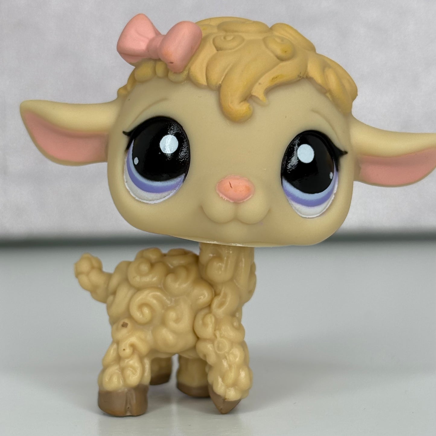 LPS Lamb Sheep