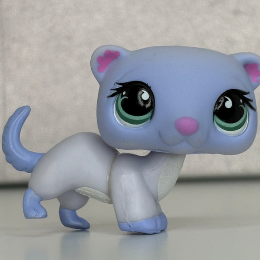 LPS Ferret #880