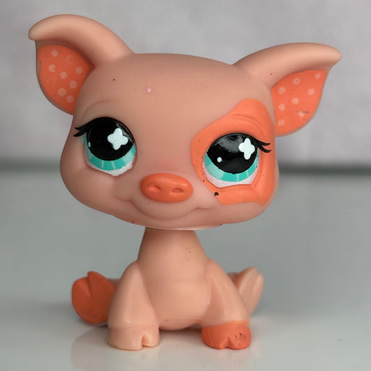 LPS Pig #622