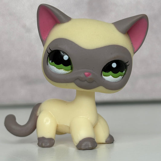 LPS Siamese Shorthair Cat #1116