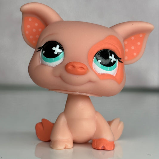 LPS Pig #622