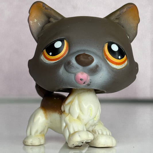 LPS Husky Dog #174