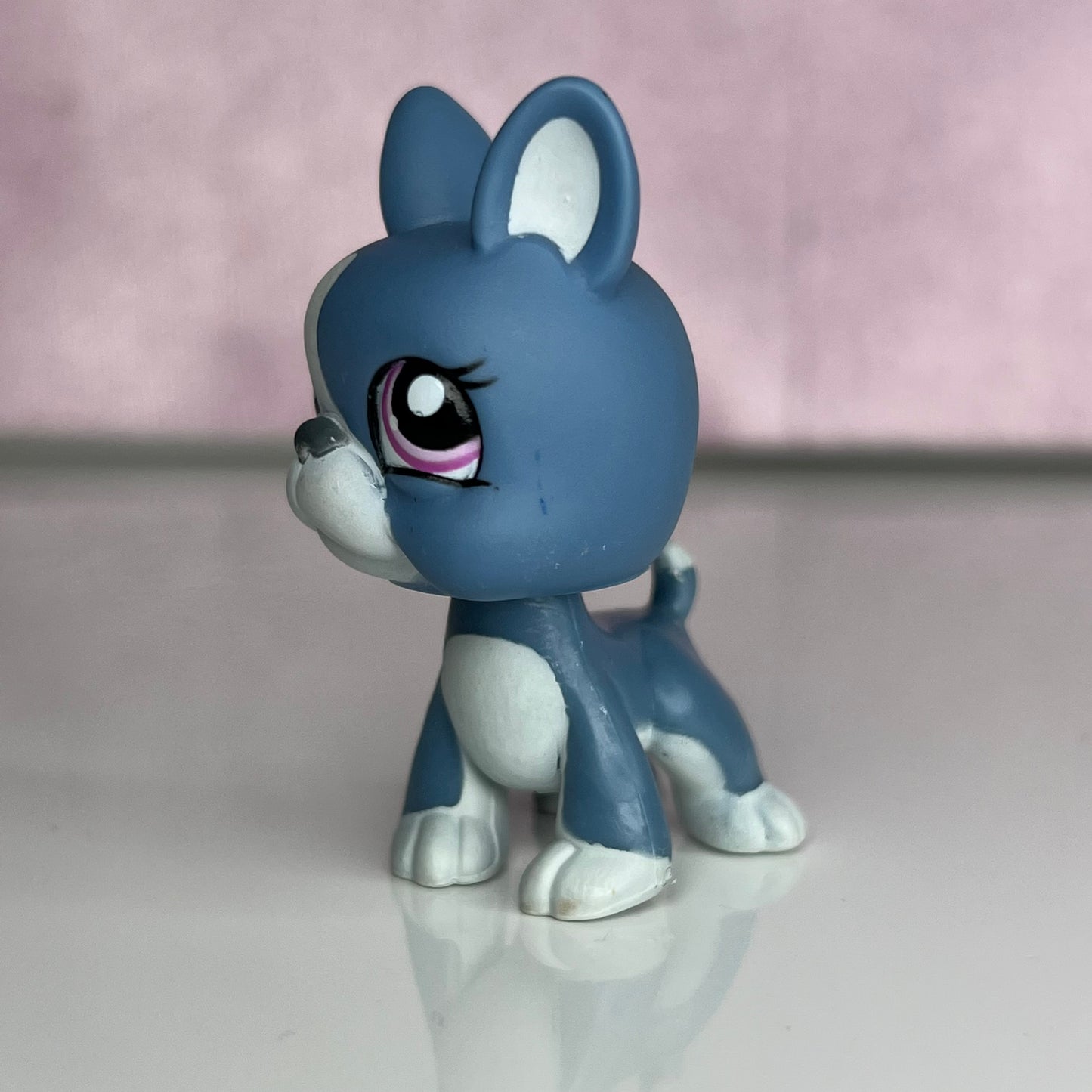 LPS Blue Boston Terrier #102