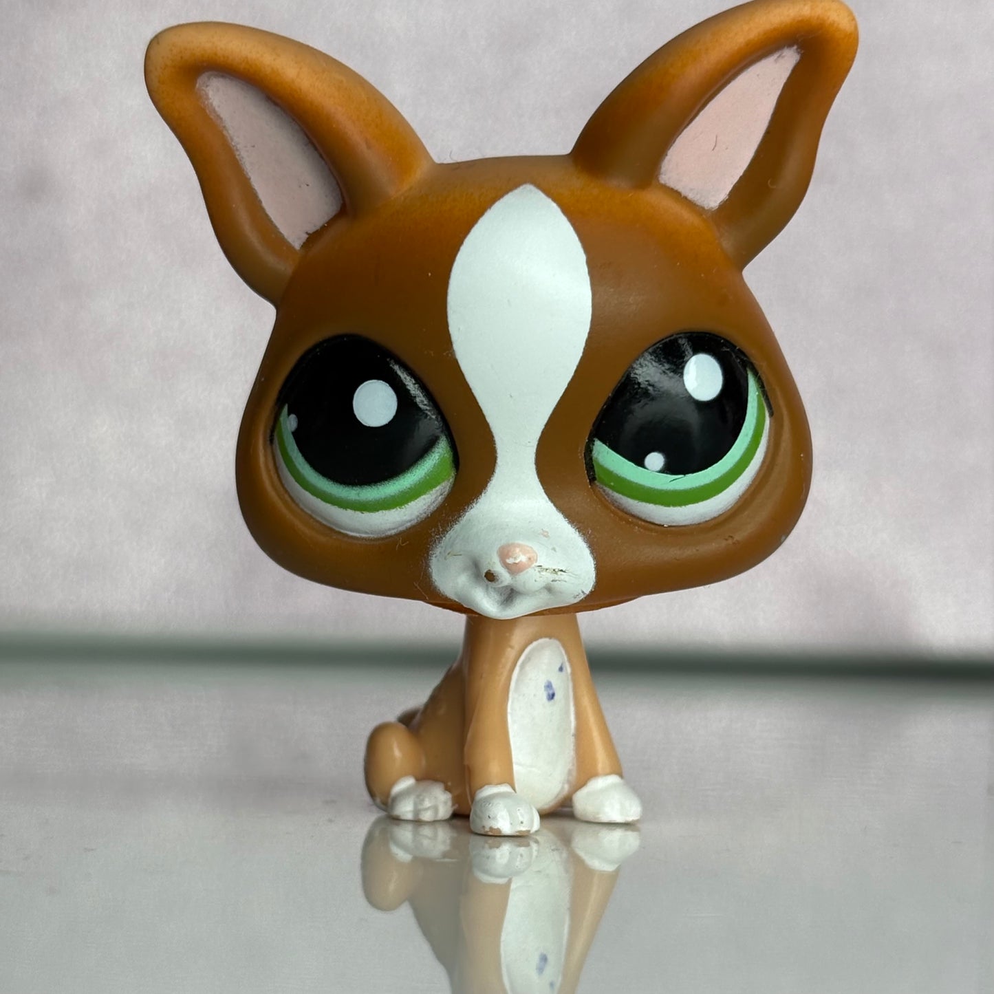 LPS Chihuahua Dog #1568