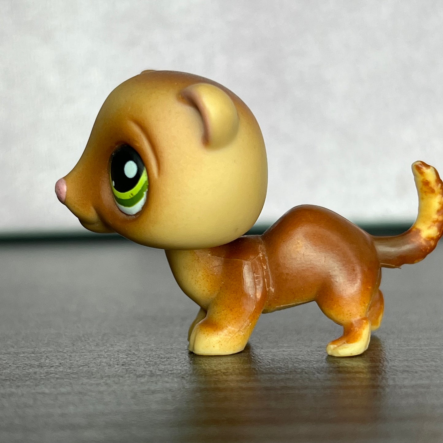 LPS Ferret #209