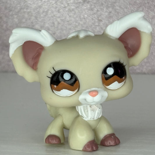 LPS Chihuahua Dog #1199