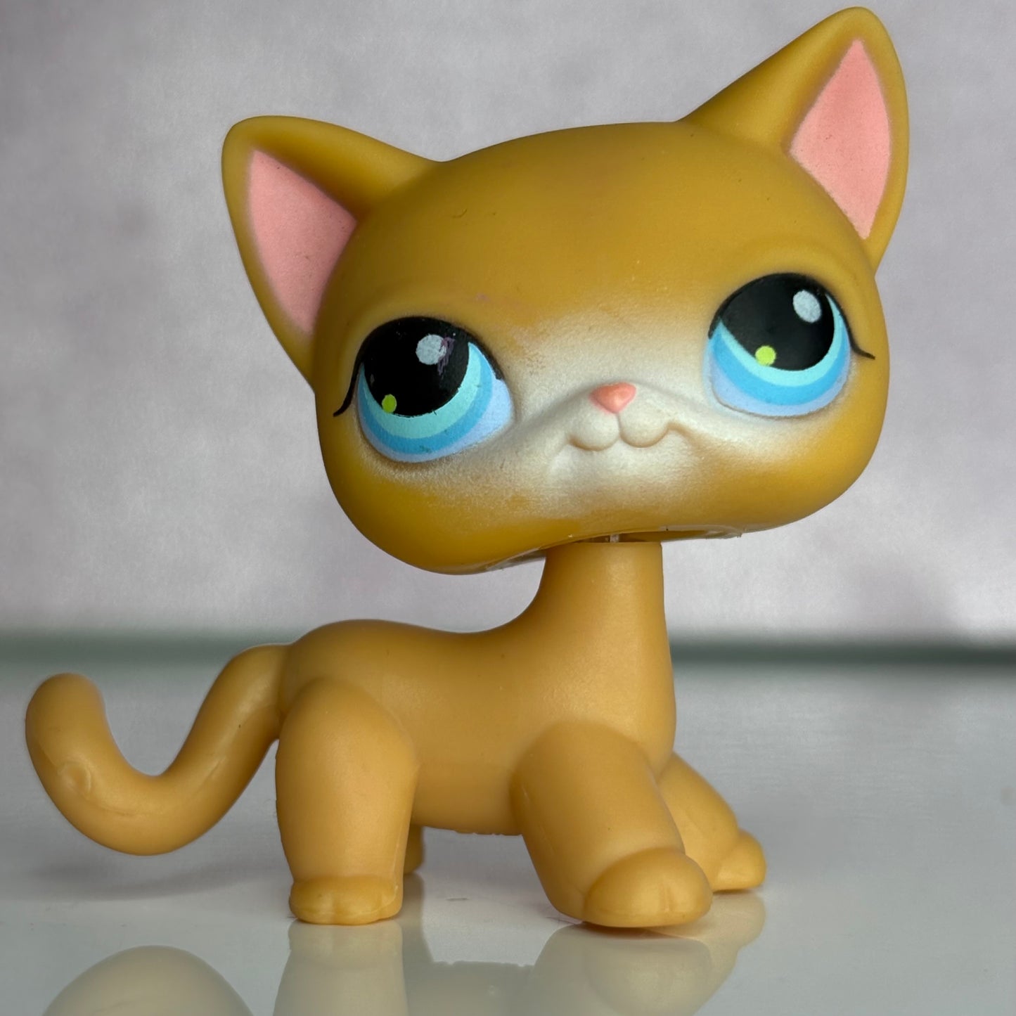 LPS Shorthair Cat #71