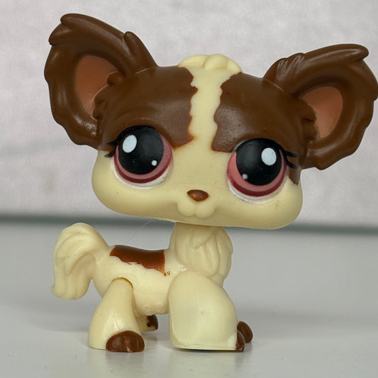 LPS Chihuahua Dog #385