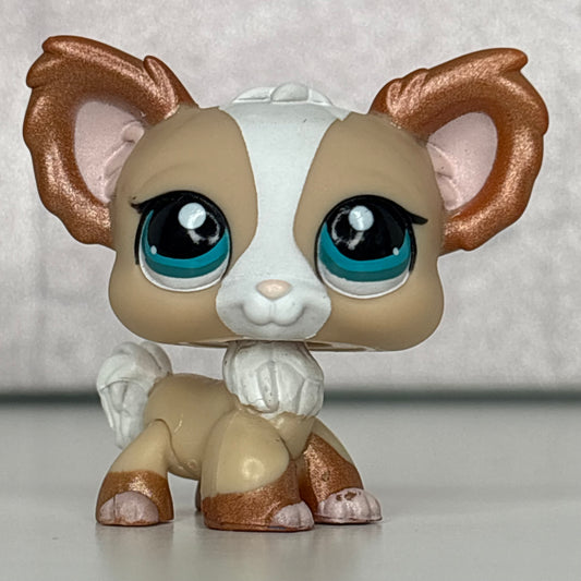 LPS Chihuahua Dog #1082