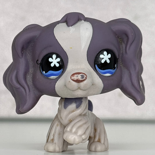 LPS Purple  Cocker Spaniel Dog #672
