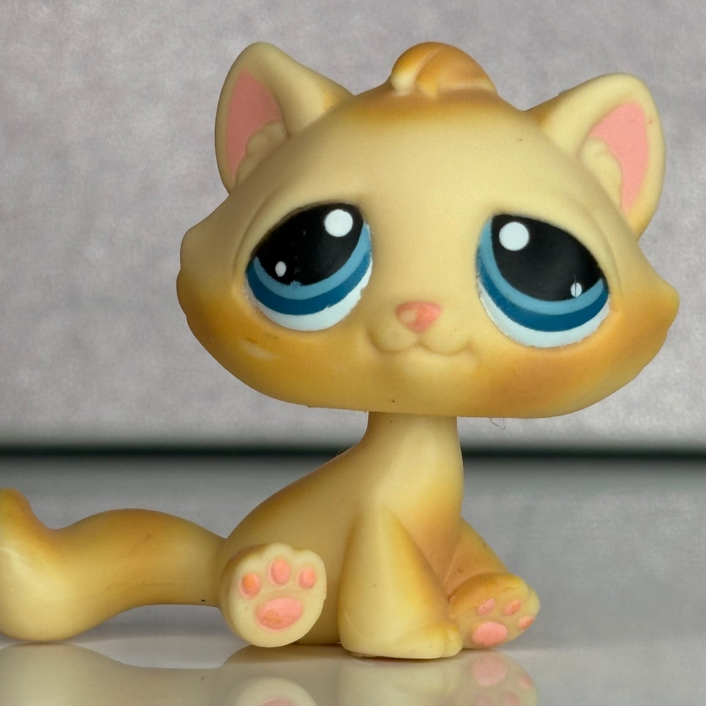 LPS Bon Bon Cat #122
