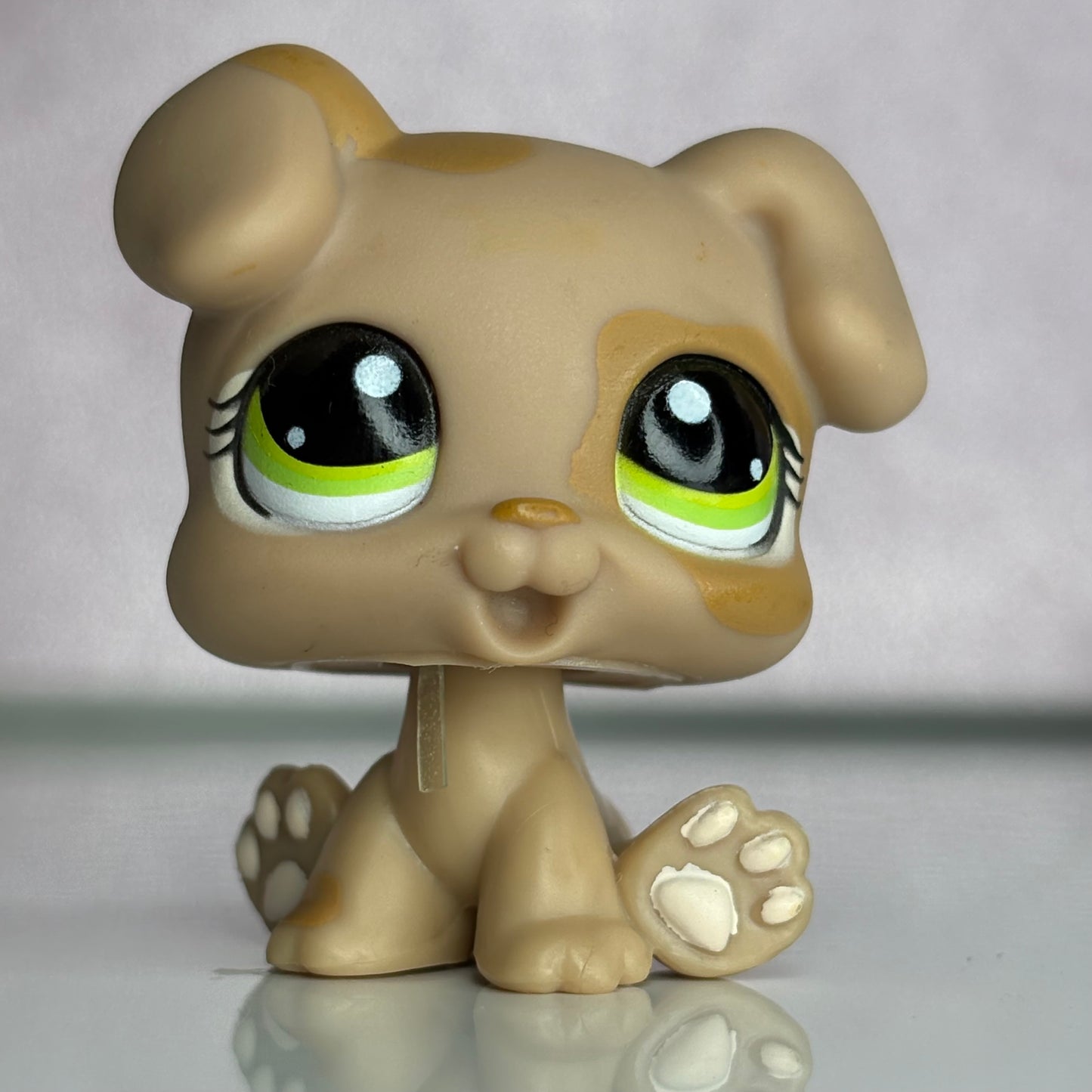 LPS Puppy Dog #1353