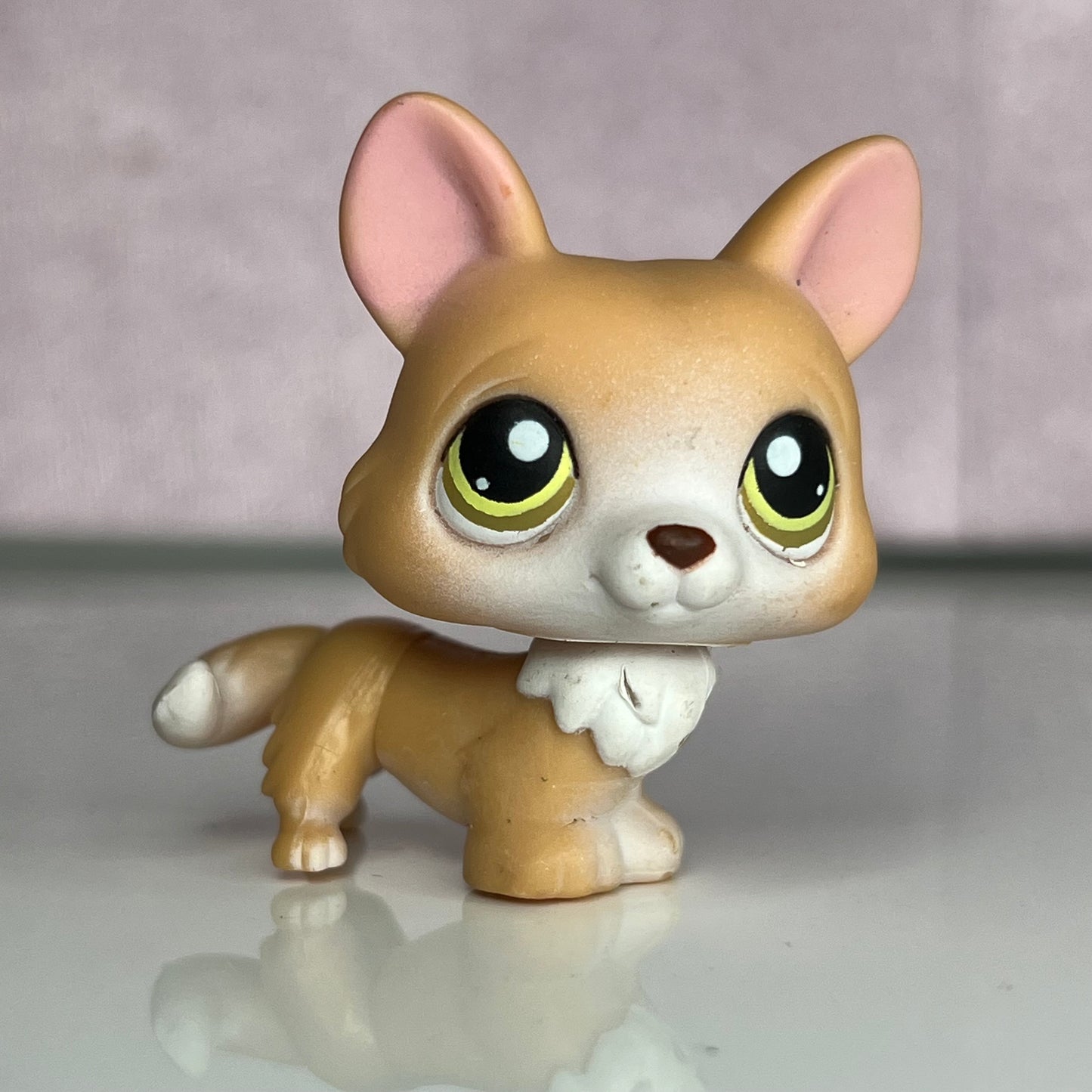 LPS Corgi Dog #183