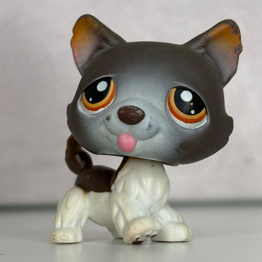 LPS Husky Dog #174