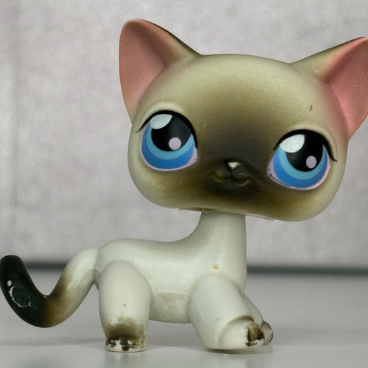 LPS Siamiese Shorthair Cat #5**