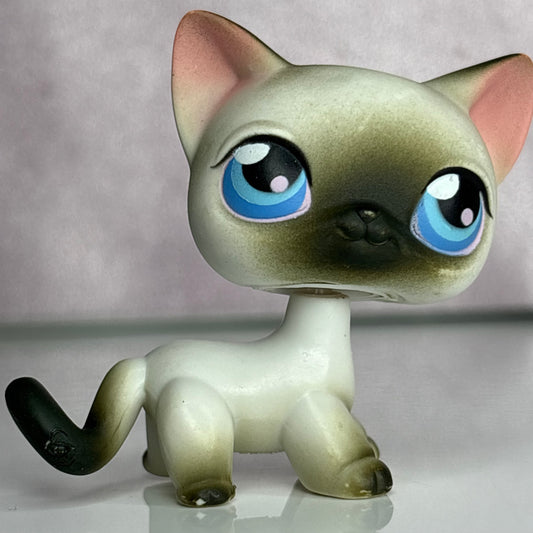 LPS Siamiese Shorthair Cat #5