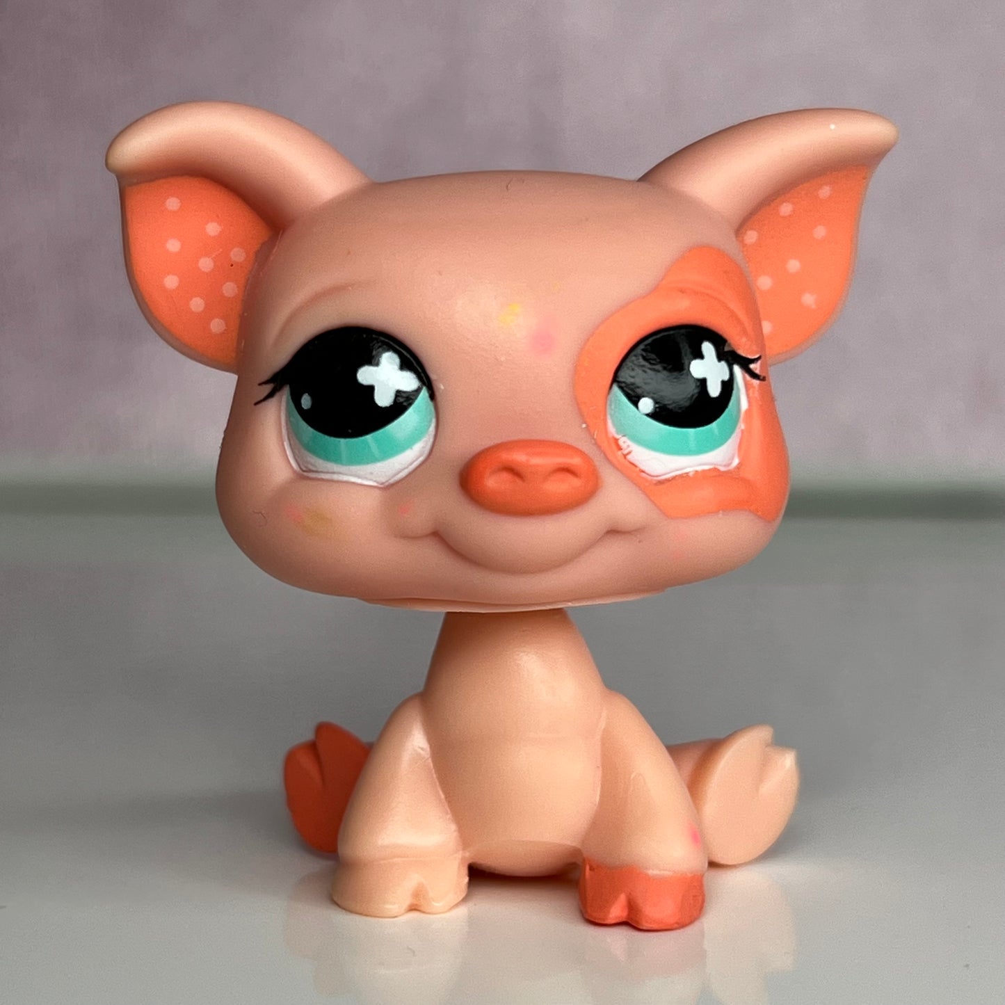 LPS Pig #622