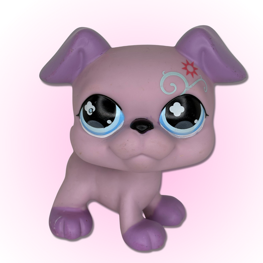 LPS Boxer Dog Jumbo