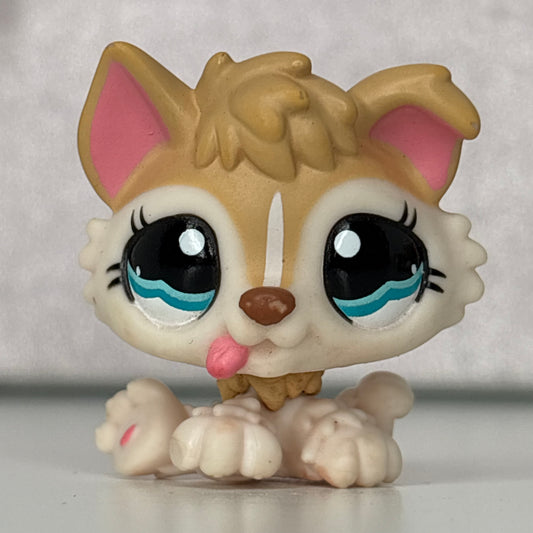 LPS Husky Puppy #1013