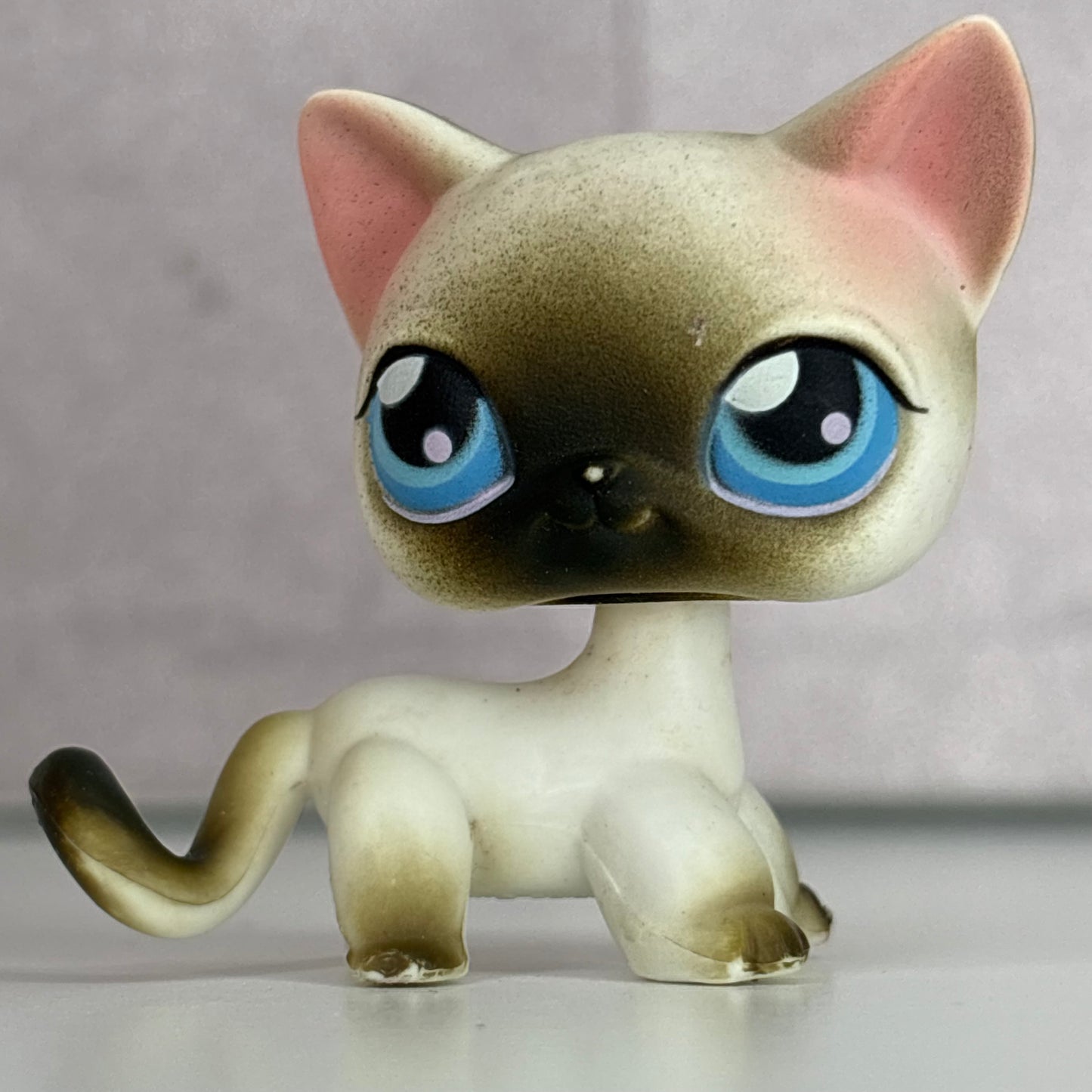 LPS Siamiese Shorthair Cat #5