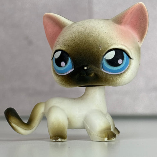 LPS Siamiese Shorthair Cat #5