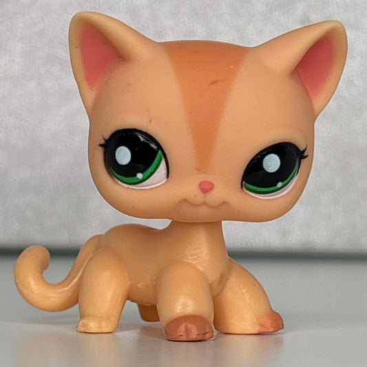LPS Shorthair Cat #1764