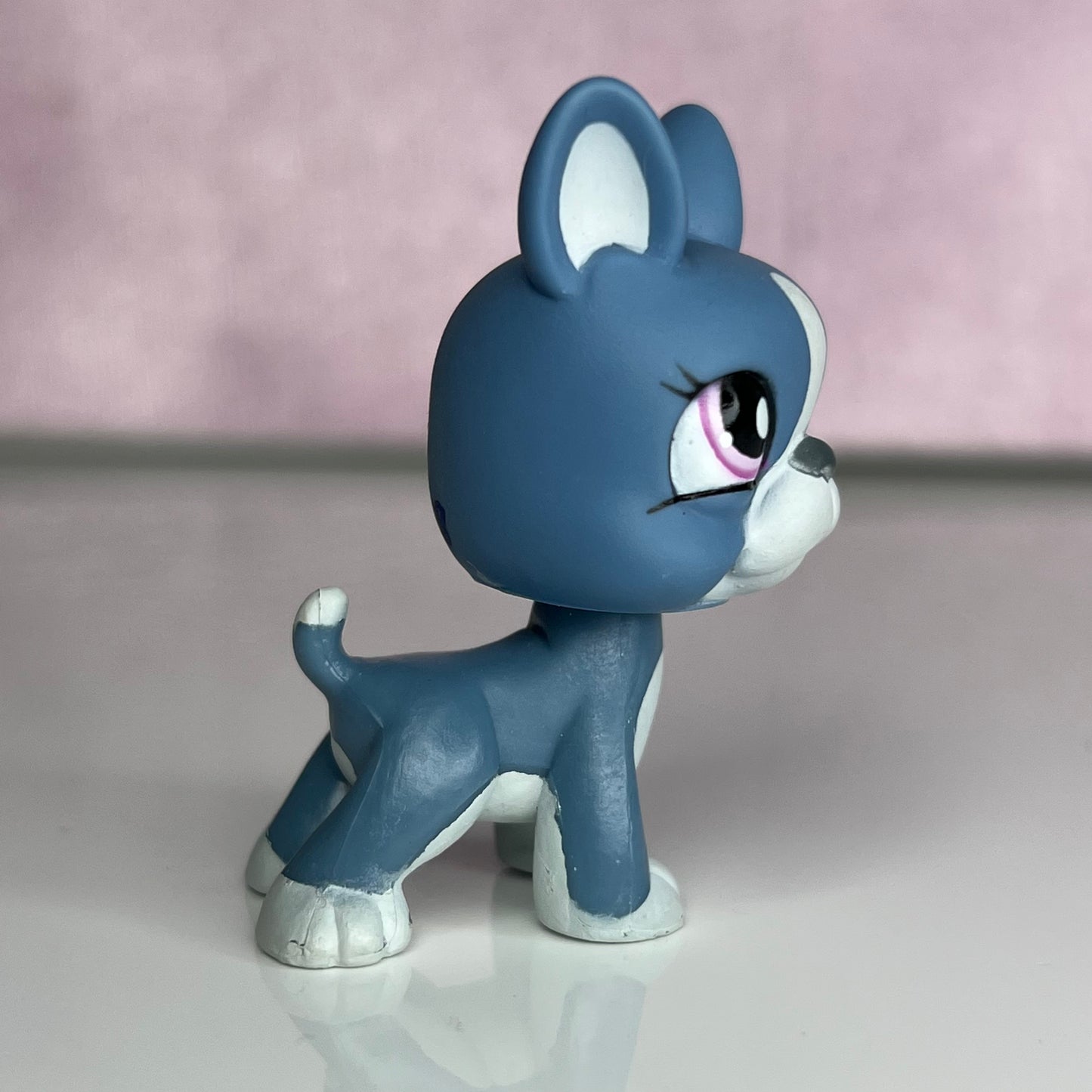 LPS Blue Boston Terrier #102