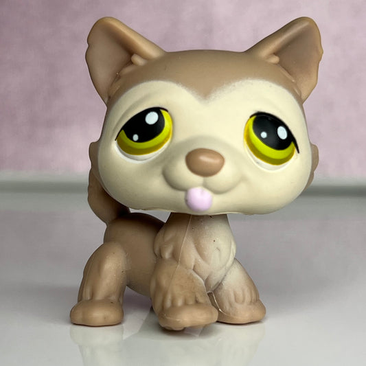 LPS Husky Dog #358