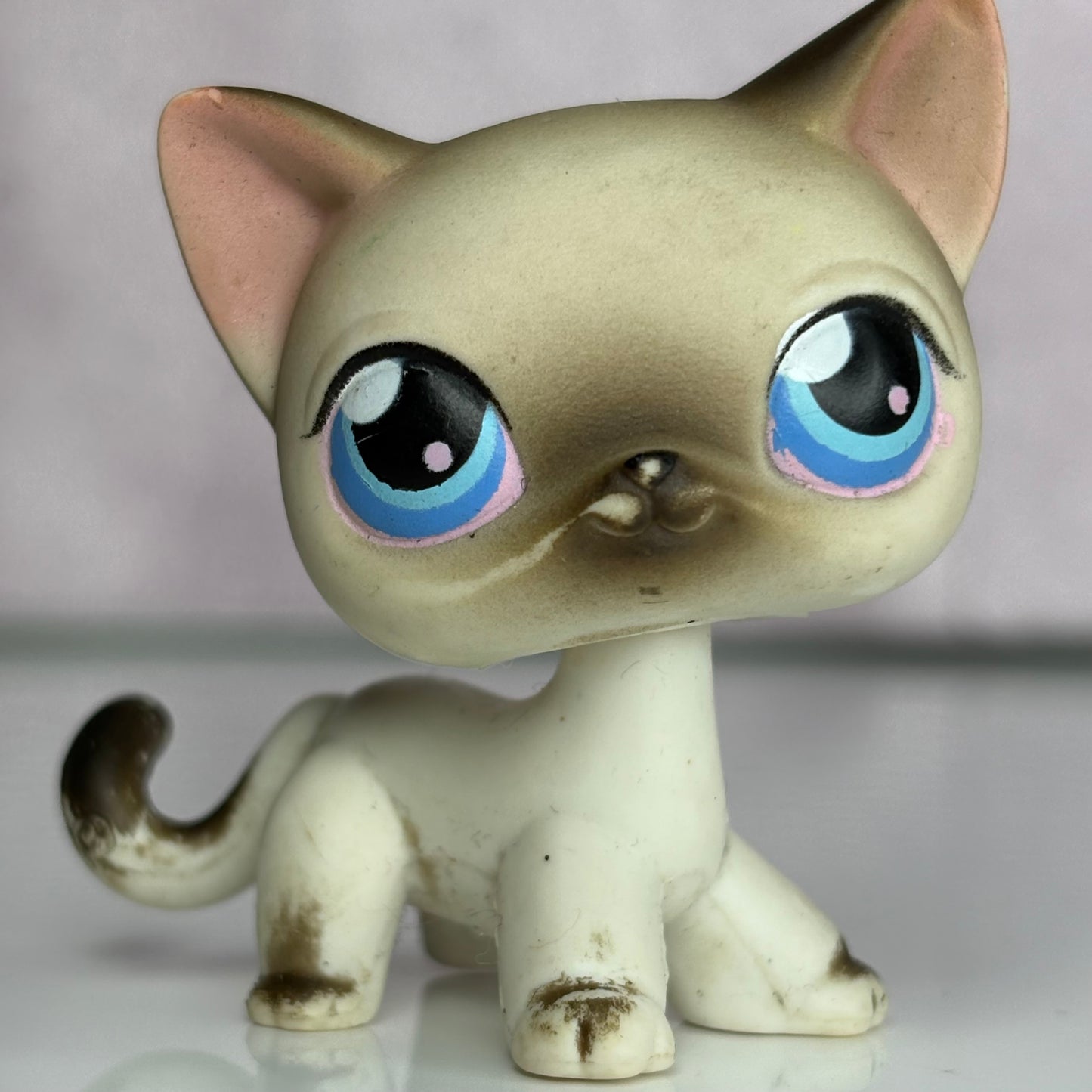 LPS Siamiese Shorthair Cat #5