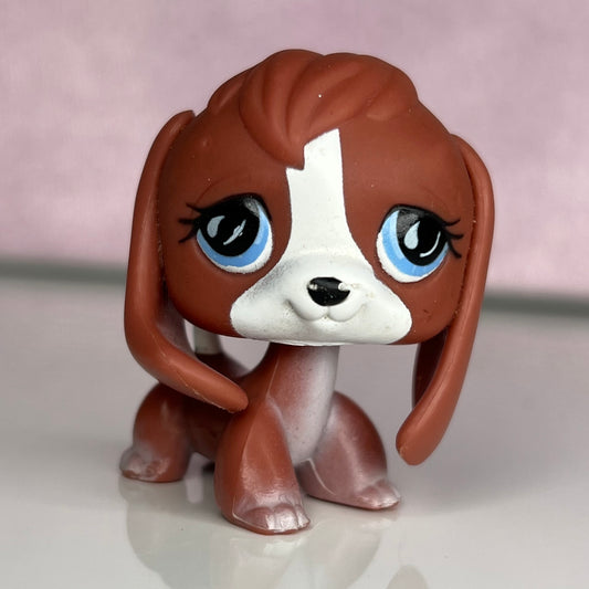 LPS Beagle Dog #567