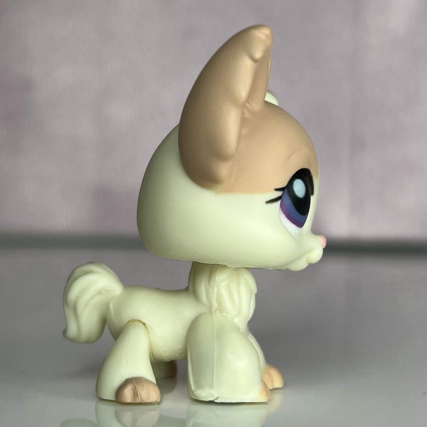 LPS Chihuahua Dog #438