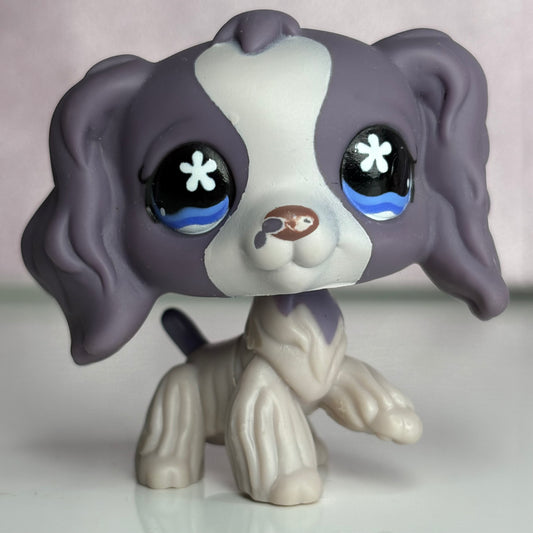 LPS Purple  Cocker Spaniel Dog #672