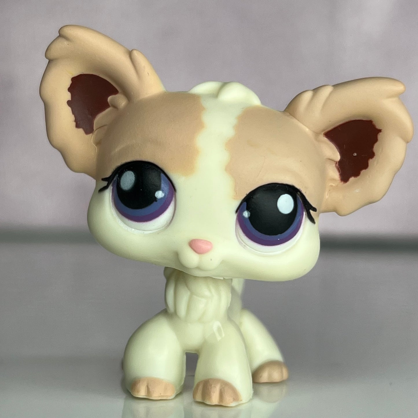 LPS Chihuahua Dog #438