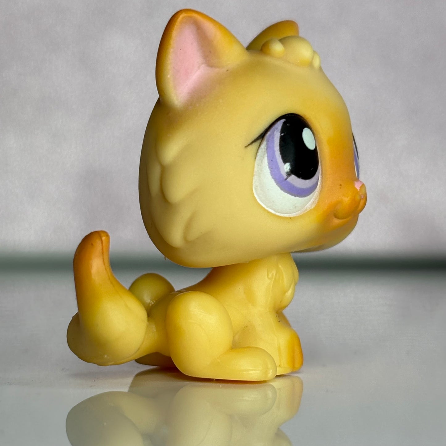 LPS Kitten #248