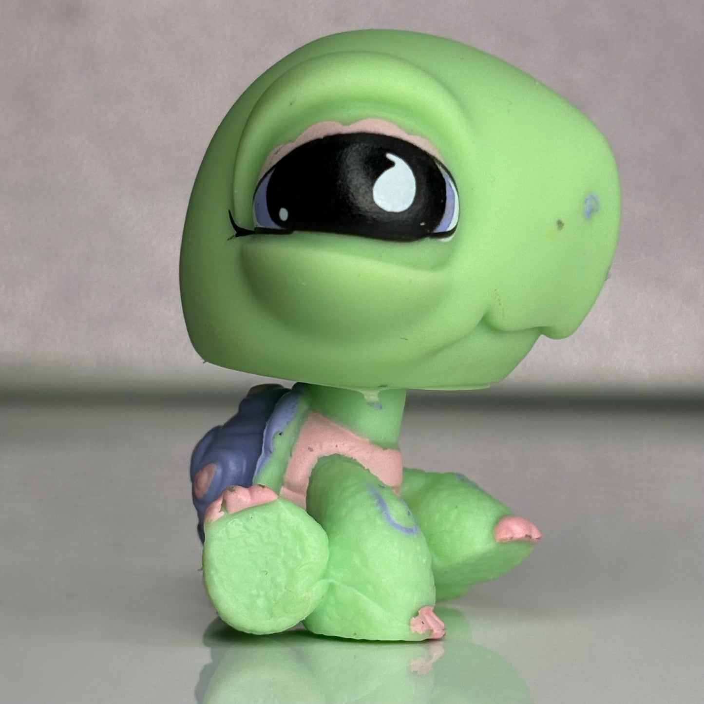 LPS Turtle #504