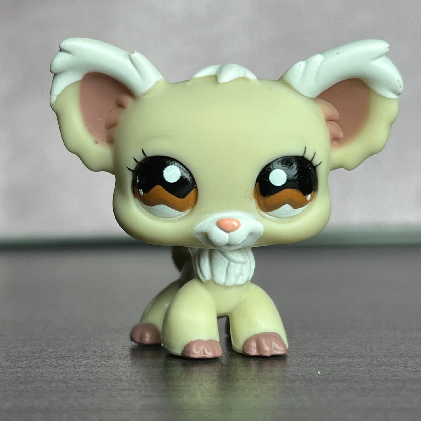 LPS Chihuahua Dog #1199