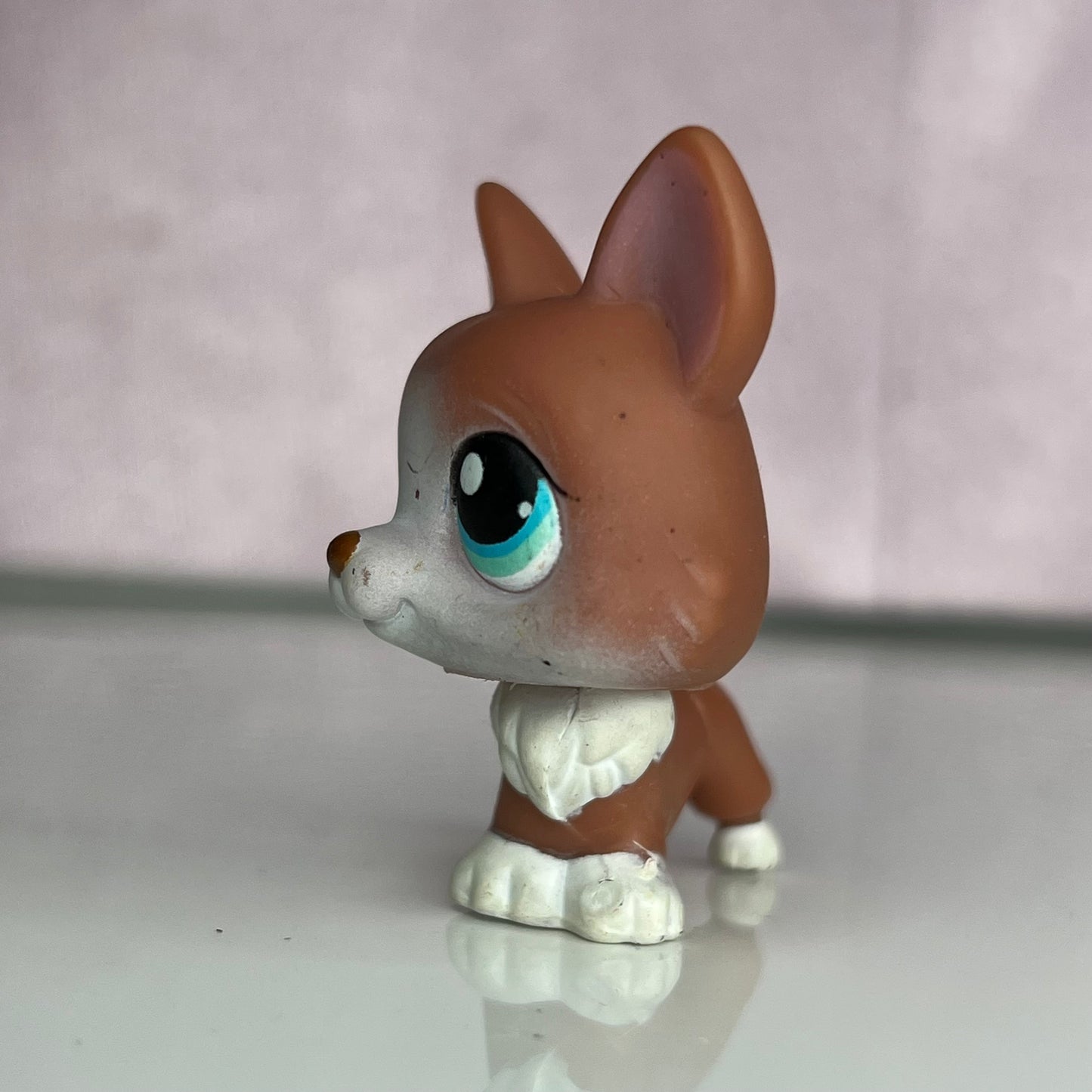 LPS Corgi Dog #317