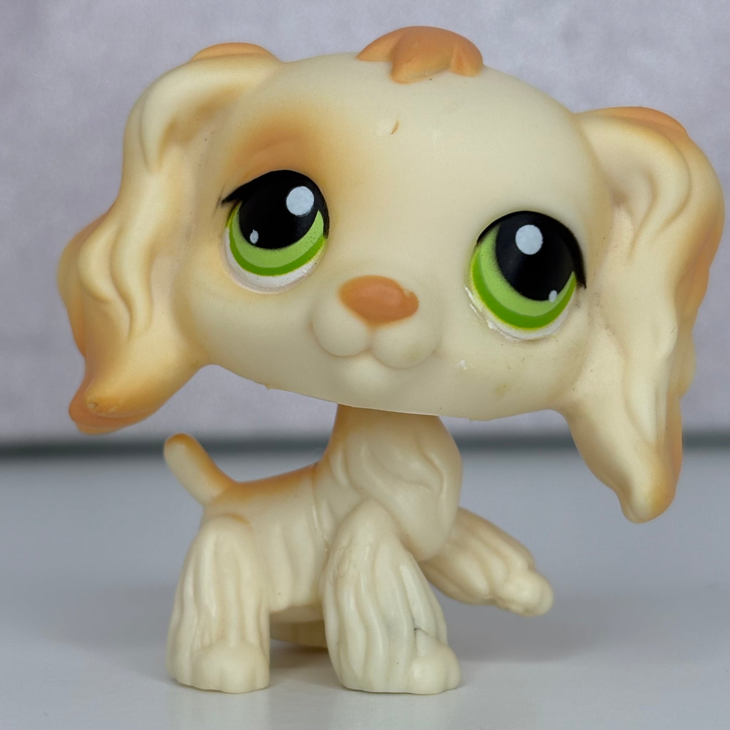 LPS Cocker Spaniel Dog #344