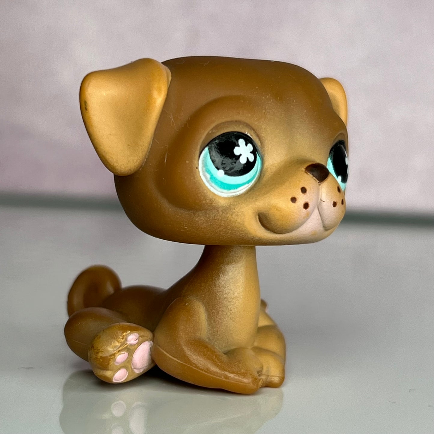 LPS No # Exclusive Pug