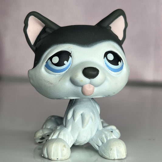 LPS Husky Dog #210