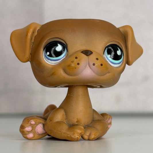 LPS Pug Dog #901