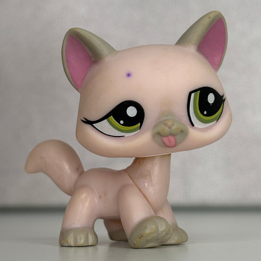 LPS Destiny Cat #1326