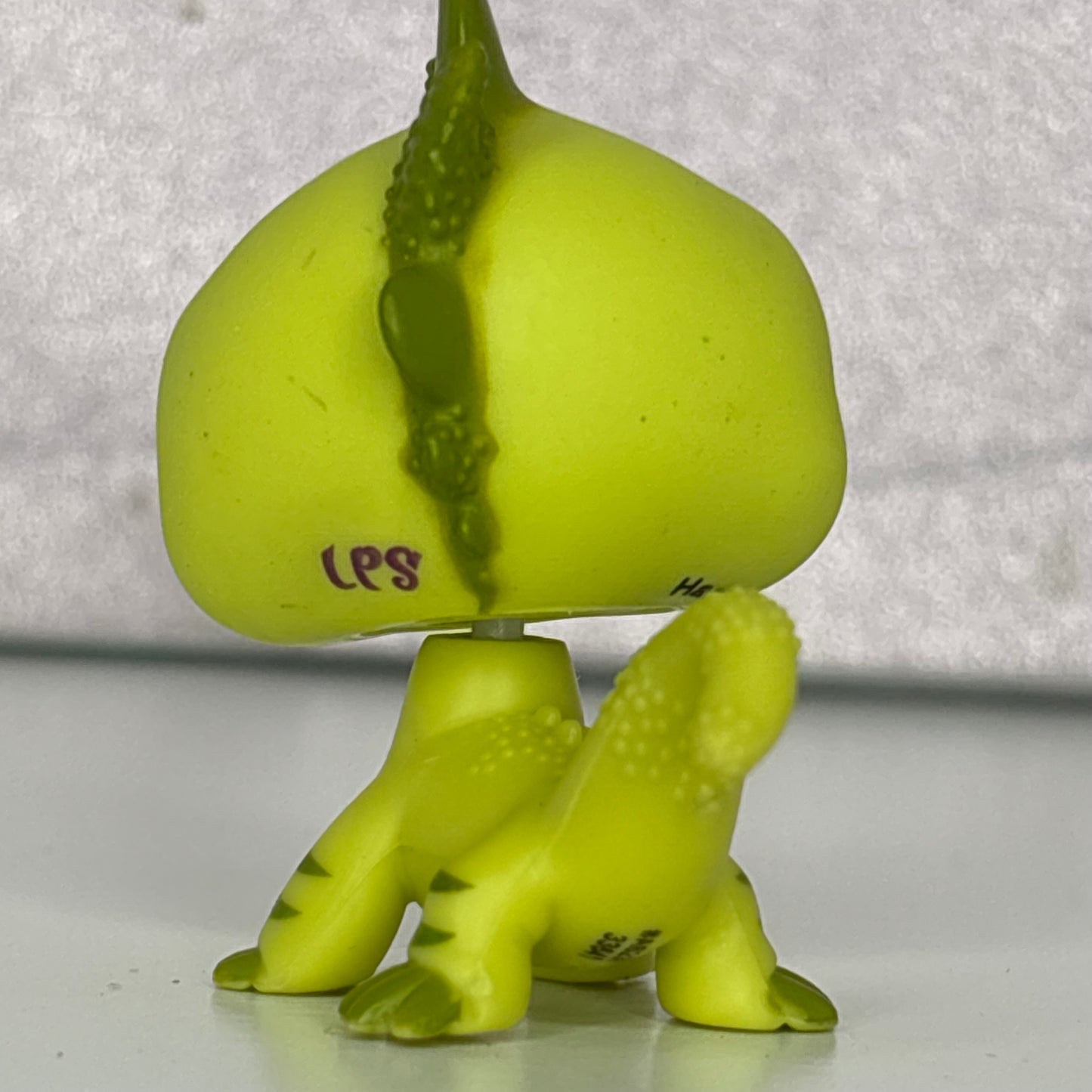 LPS Iguana