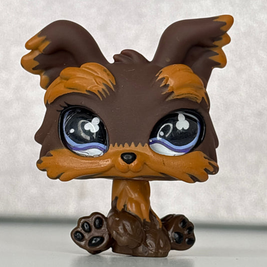 LPS Glass Eye Yorkie #509