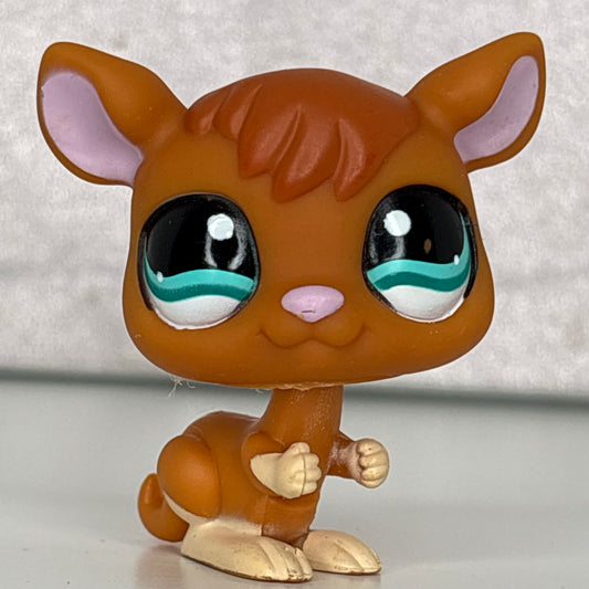 LPS Kangaroo