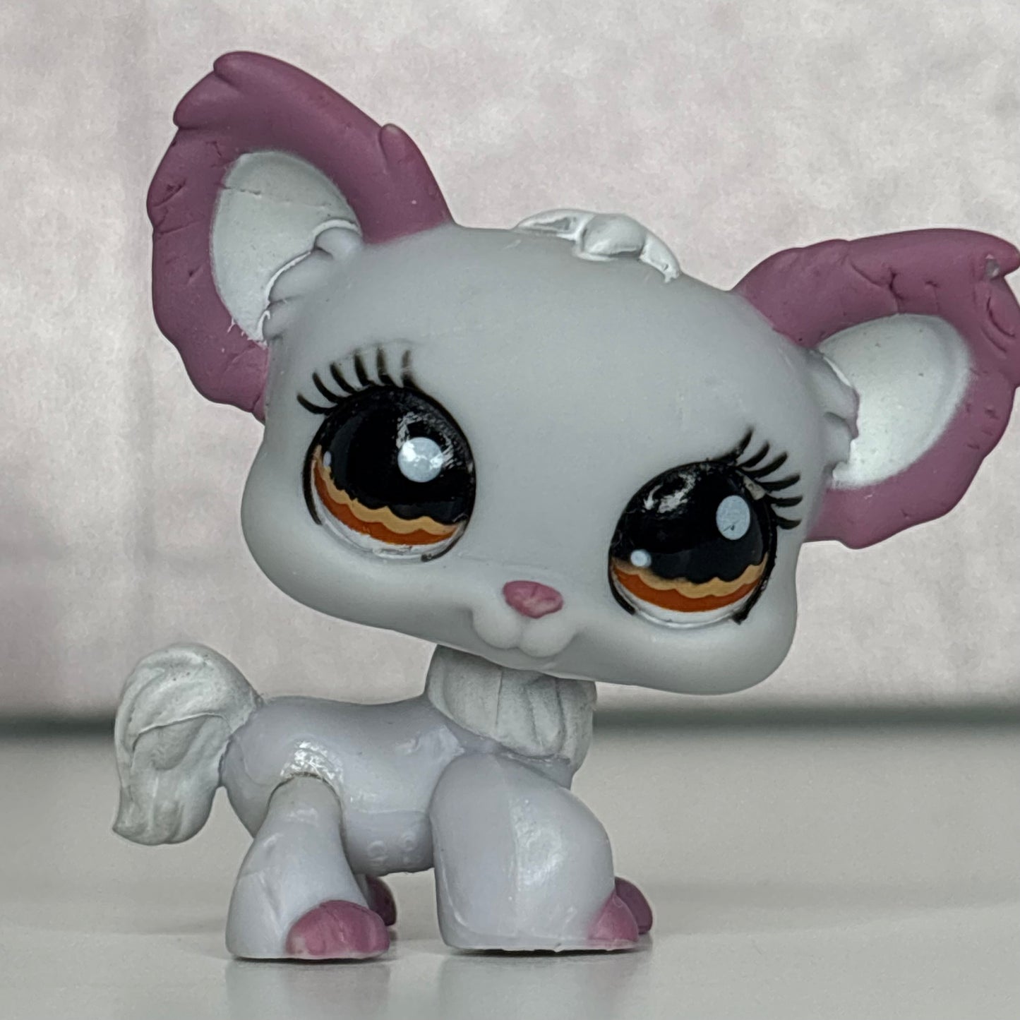 LPS Chihuahua Dog #1138